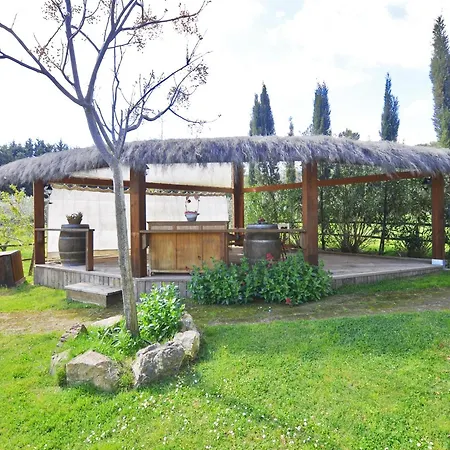 Piccola Fattoria - Happy *